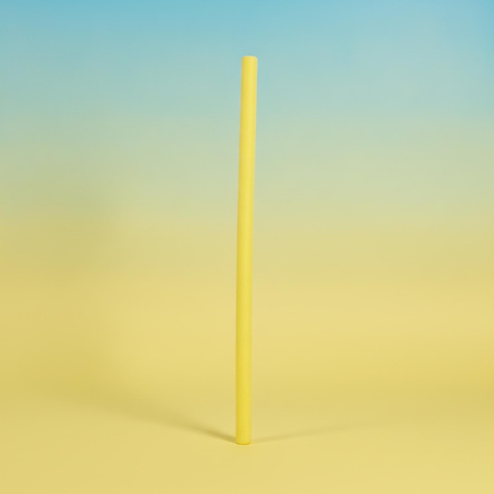 Pool Training Float Bar Cylind - Foam Pool Noodle 评论和价格